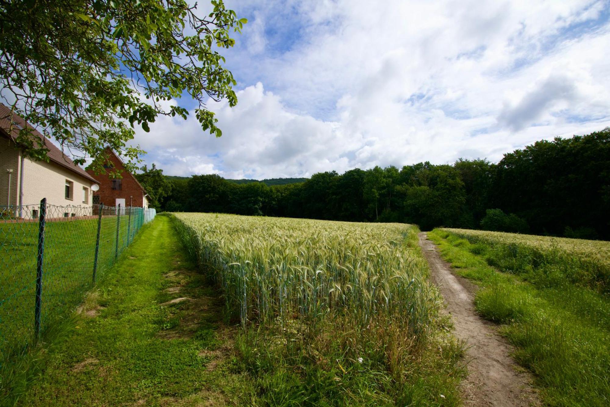 Ferienhaus Plattenberg Bad Oeynhausen Exteriör bild