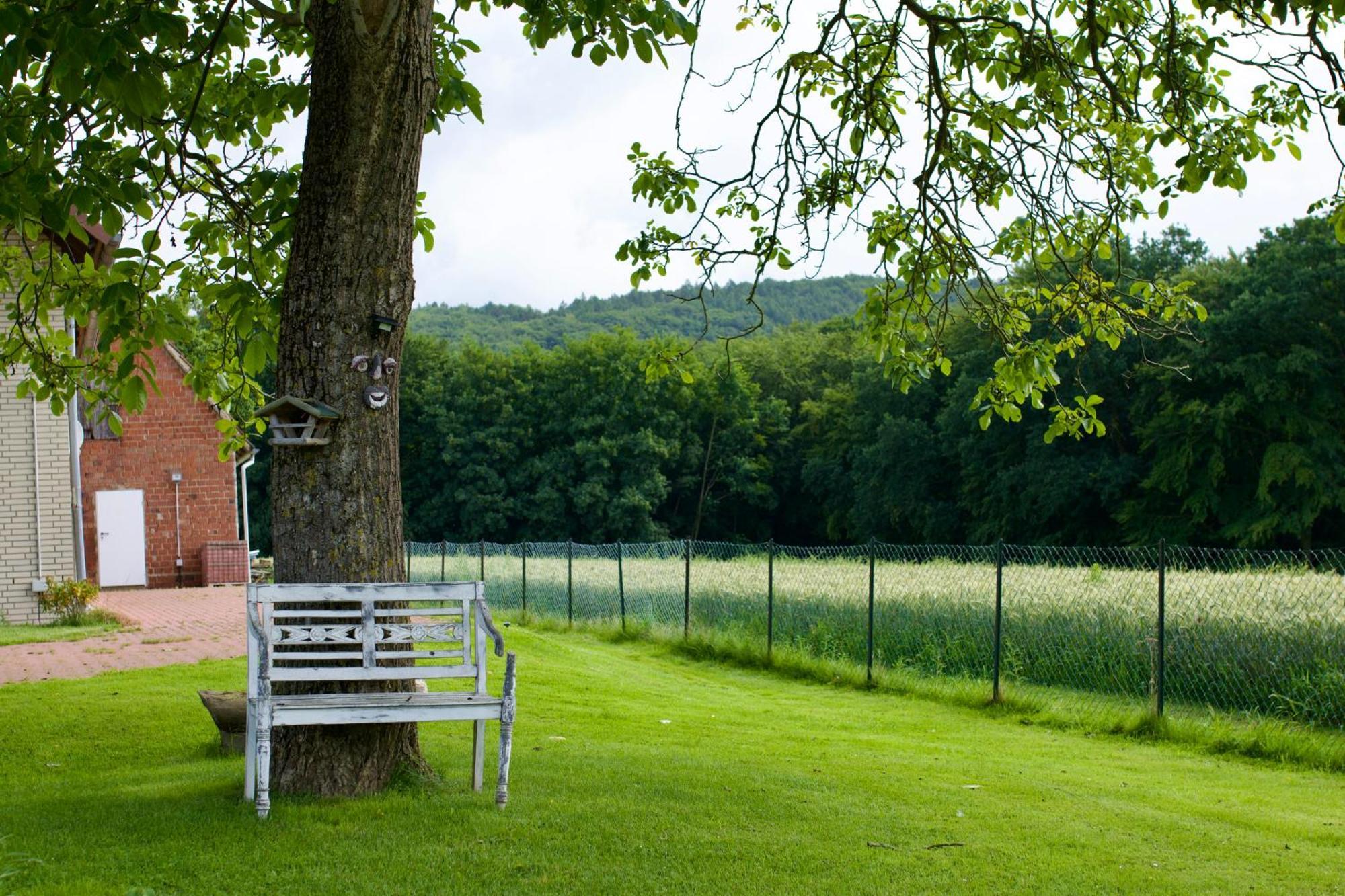 Ferienhaus Plattenberg Bad Oeynhausen Exteriör bild