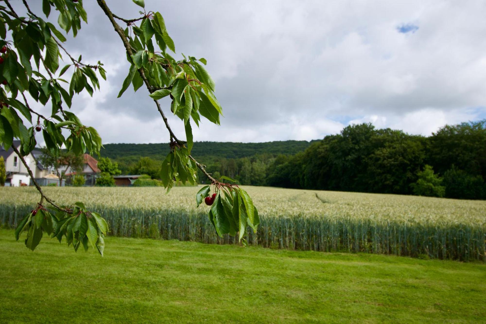 Ferienhaus Plattenberg Bad Oeynhausen Exteriör bild